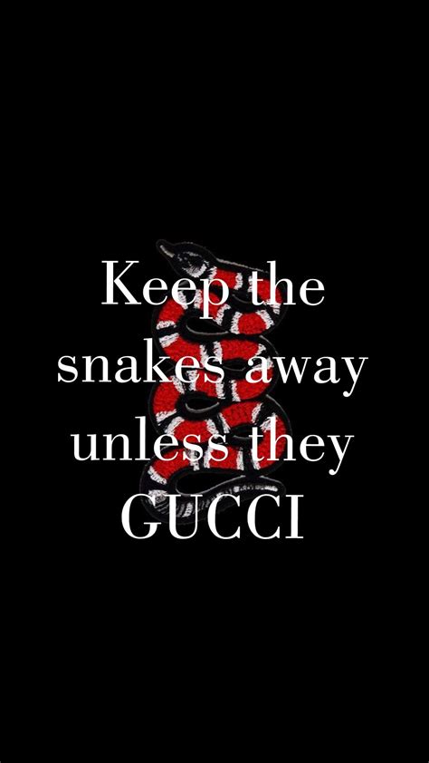 keep the snakes away unless they gucci song|The Meaning Behind The Song: Gucci Snakes by Tyga.